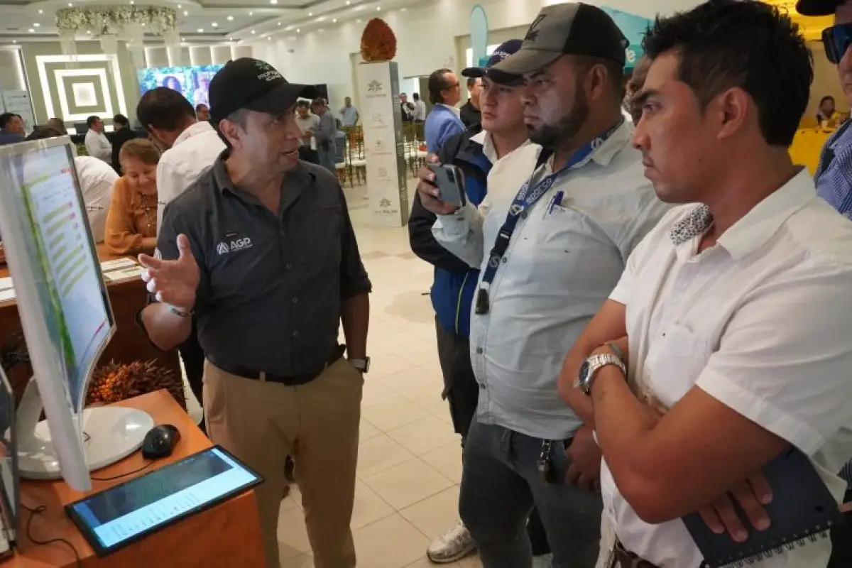 Sector palmero impulsa sostenibilidad y competitividad, 