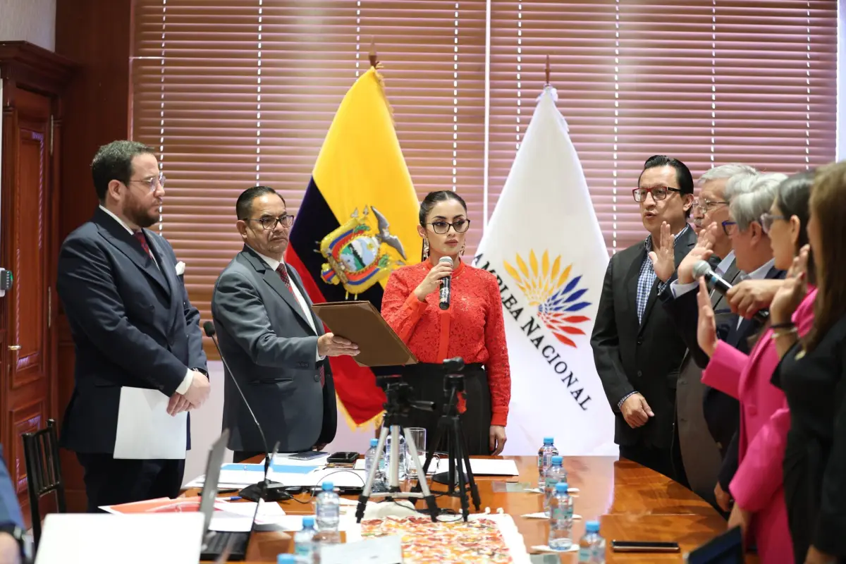 David Rosero asume vocalía principal en el Consejo de Participación Ciudadana tras controversia legal.