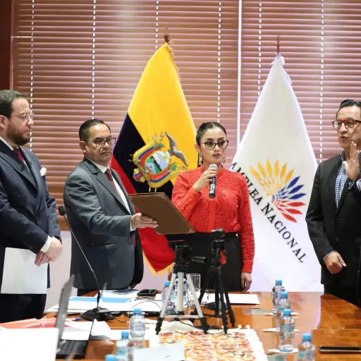 David Rosero asume vocalía principal en el Consejo de Participación Ciudadana tras controversia legal