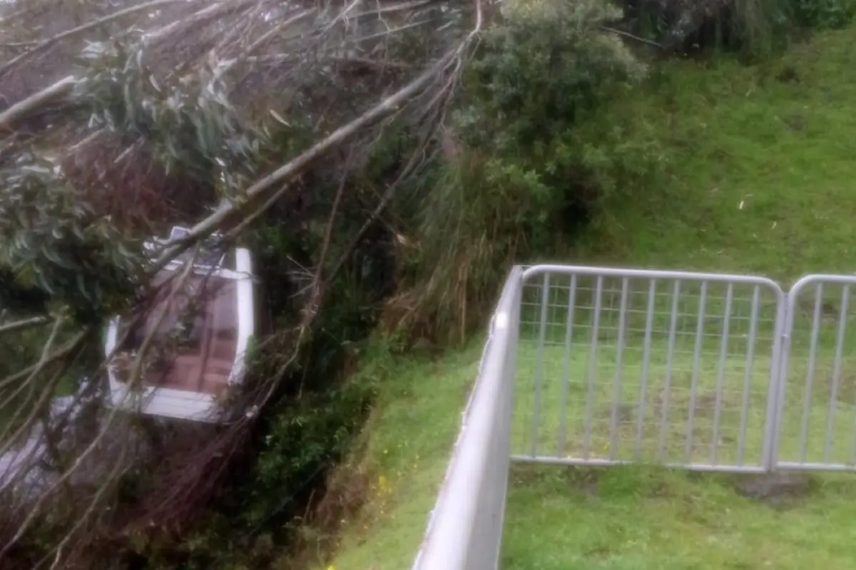 Un árbol cayó sobre el sistema del Teleférico de Quito, afortunadamente no se reportaron personas heridas. Autoridades locales evalúan la situación.