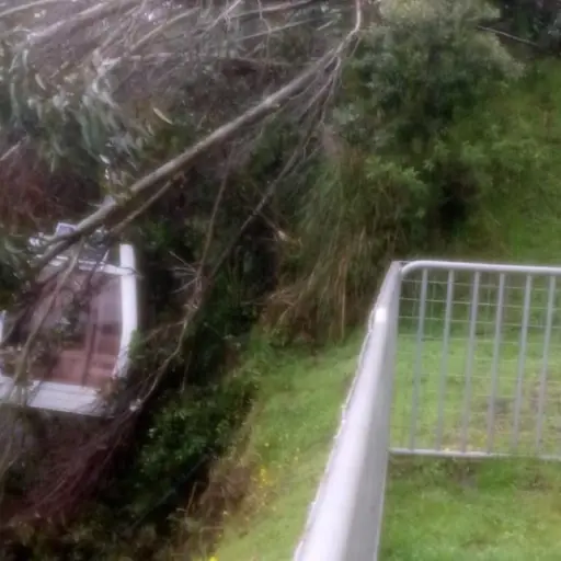 Un árbol cayó sobre el sistema del Teleférico de Quito, afortunadamente no se reportaron personas heridas. Autoridades locales evalúan la situación