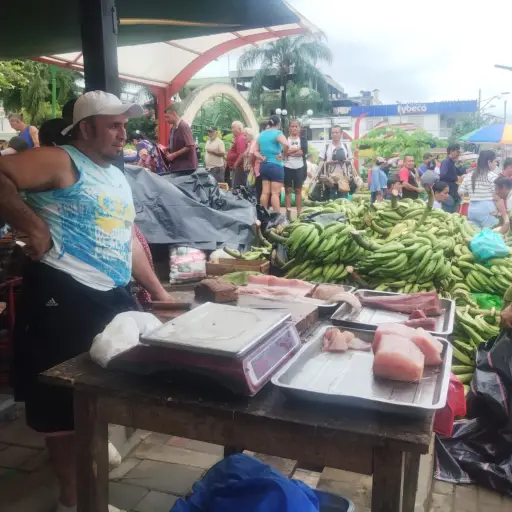 Inundación en Santa Ana obliga a comerciantes a trasladarse al parque Eloy Alfaro