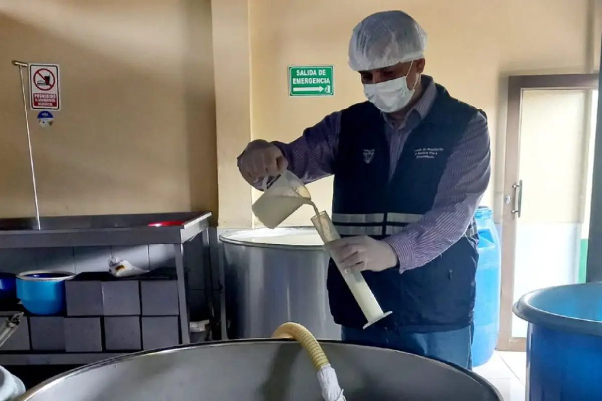 Ecuador exporta 19 mil litros de leche a El Salvador, este lote saldrá este miércoles desde un puerto de Guayaquil. (Agrocalidad). 