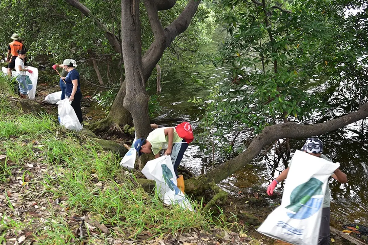 El Municipio de Guayaquil organizó una minga en la conmemoración del Día Internacional del Reciclaje.