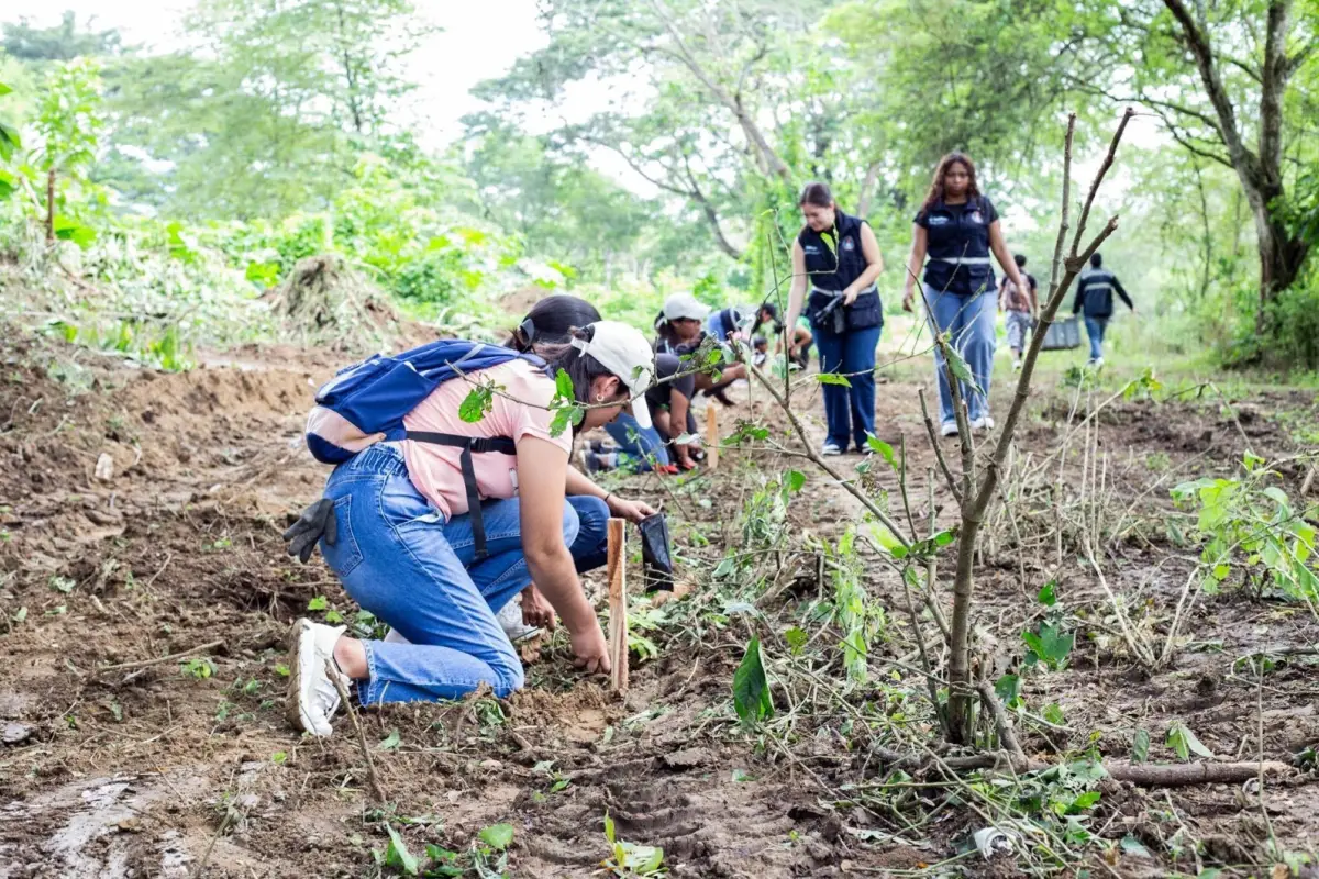 En la reforestación participaron estudiantes, Estudiantes universitarios participaron en la jornada de reforestación.