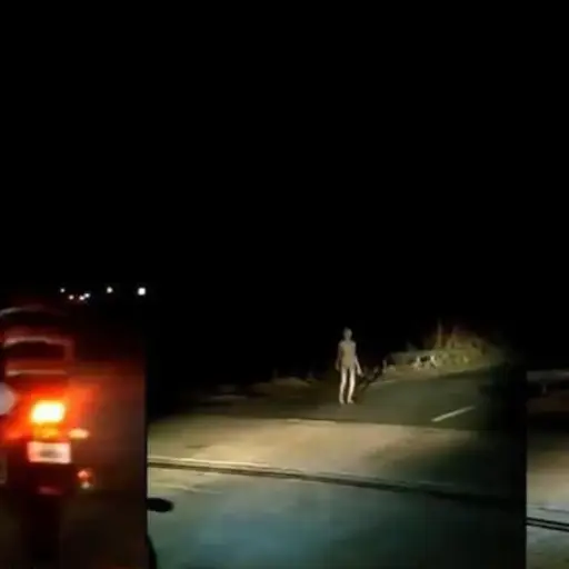 Espeluznante criatura es grabada y video se hace viral