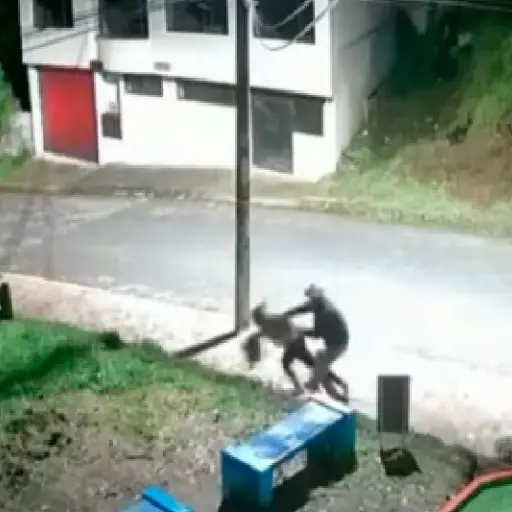 Violento asalto de un delincuente en el norte de Quito dejó a mujer agredida y sin sus pertenencias