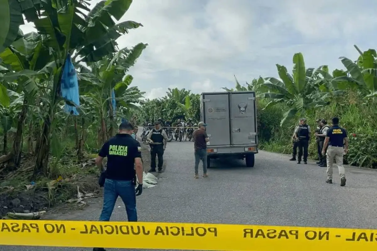 Cubre el cuerpo con hojas de banano y lo abandonan en vía rural, en Santa Rosa, El Oro