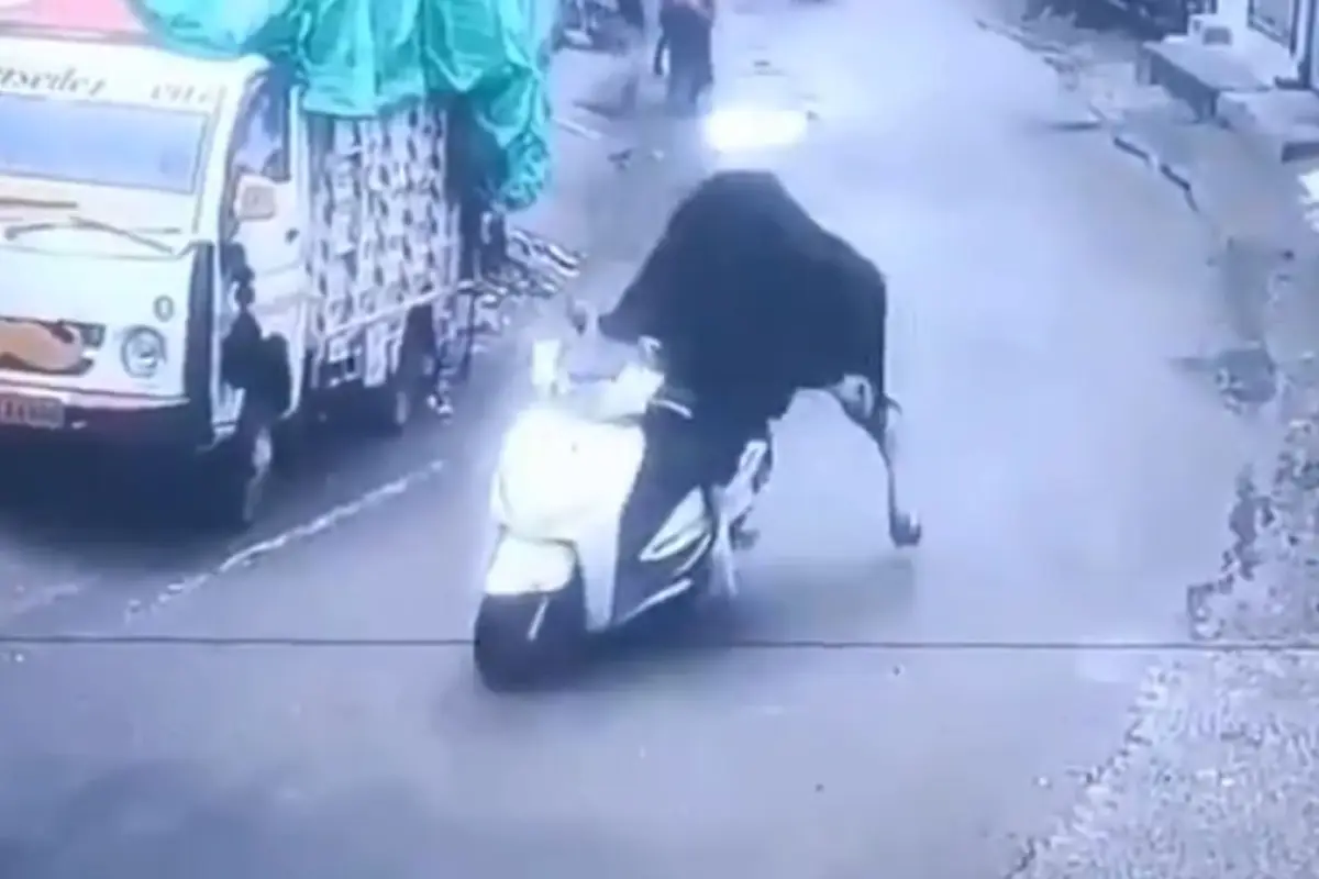 Un toro se 'roba' una motocicleta y queda grabado, el animal protagoniza un video que se viralizó en varias redes sociales. (Internet).
