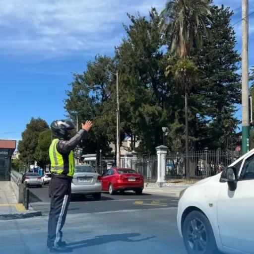 Exoneración de multa por calendarización en Quito: placas terminadas en 4 beneficiadas