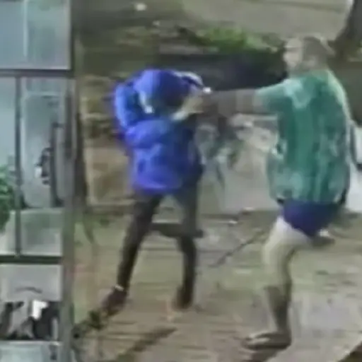 Vecino sale en calzoncillos desde su casa y le da paliza a un ladrón de autopartes