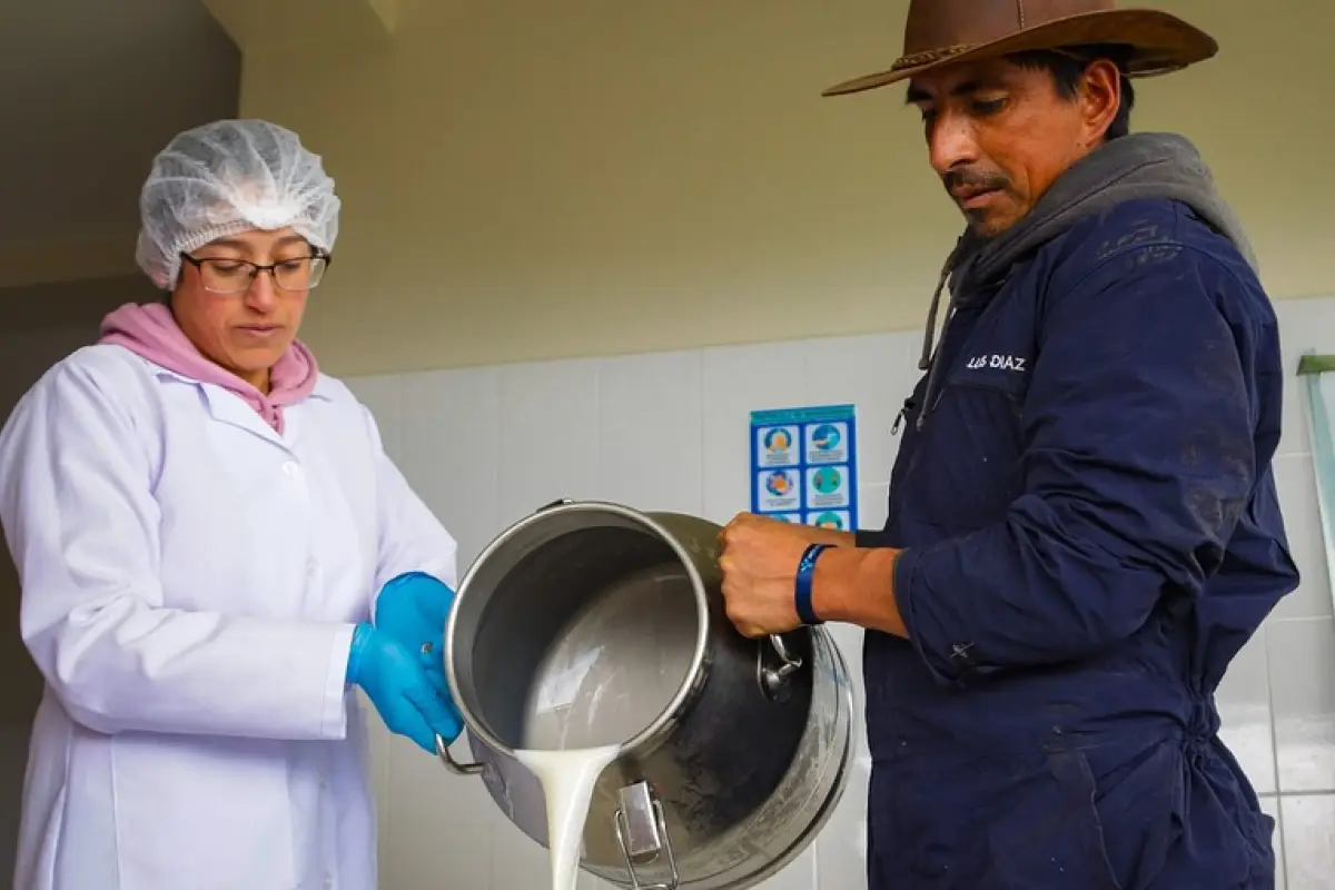 El Ministerio de Agricultura y Ganadería fija en ,5043 el litro de leche cruda a partir del 1 de junio