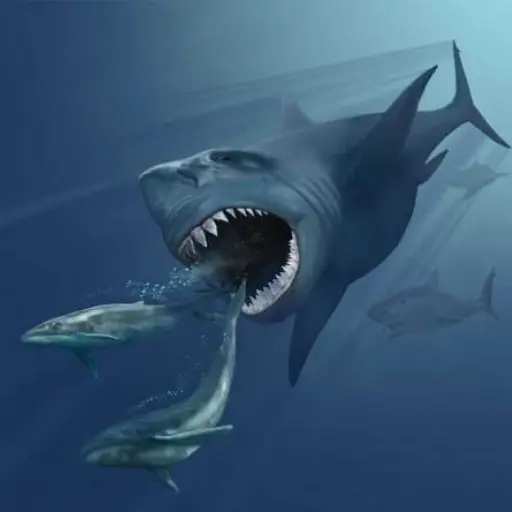 El temible megalodón no solo cazaba ballenas: nuevo estudio revela su dieta diversa
