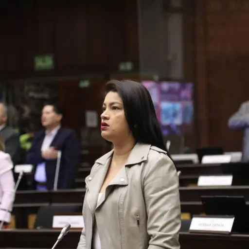 Asambleísta Victoria Desintonio deberá pagar USD 9.000 tras ratificación del Tribunal Contencioso Electoral