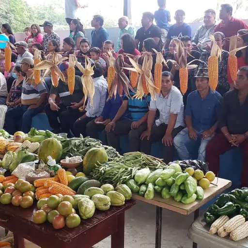 Chicha, jerén y pan seco: los sabores que reviven en la Feria del Maíz de Charapotó