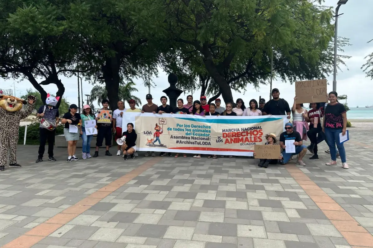 local 1 principal, Miembros del colectivo LOA de Manta luchan por la protección y derechos de los animales.