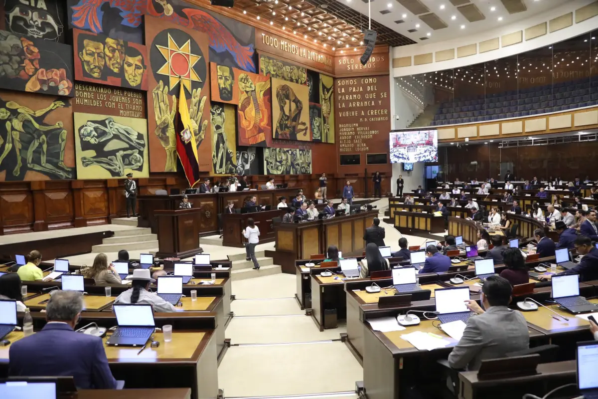Asamblea Nacional archiva el proyecto de Ley Orgánica Reformatoria a la Ley de Discapacidades: ¿Qué sigue ahora?
