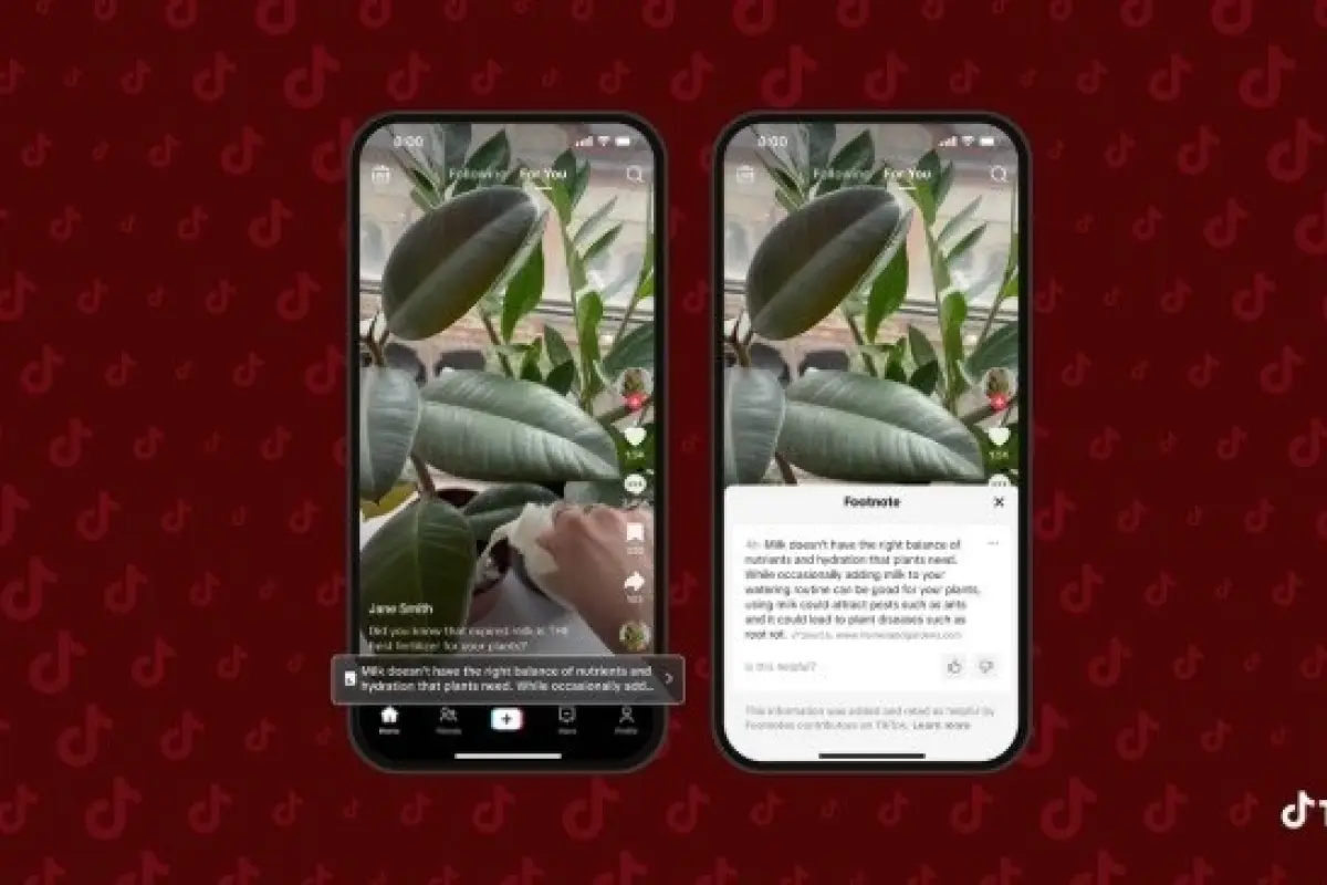 TikTok lanza el programa piloto de Notas al pie en Estados Unidos para contextualizar el contenido en la red social