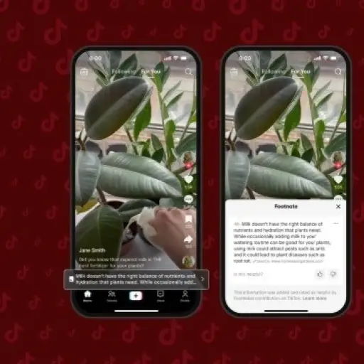 TikTok introduce “Notas al Pie” en EE. UU. para mejorar la veracidad de sus publicaciones