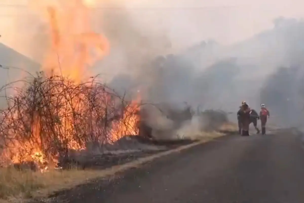 España registra la mayor devastación por incendios forestales de su historia, con más de 343 mil hectáreas consumidas, según datos oficiales.