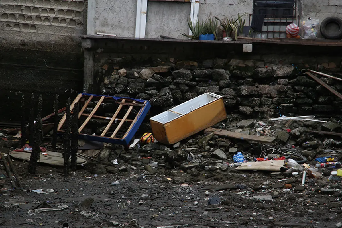 web gye, Cada mes, la Alcaldía de Guayaquil retira 1.000 toneladas de desechos del Estero Salado.