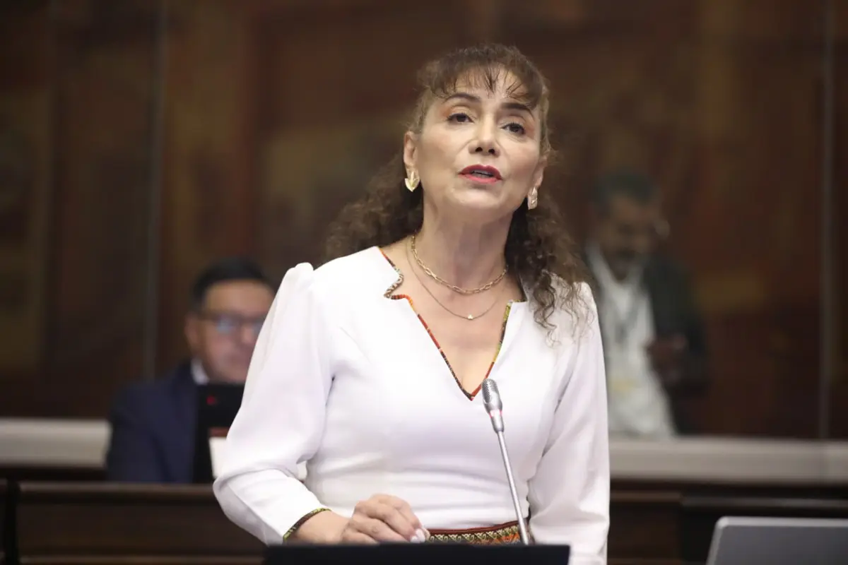 La asambleísta Patricia Núñez de la bancada de la Revolución Ciudadana. FOTO: @AsambleaEcuador.