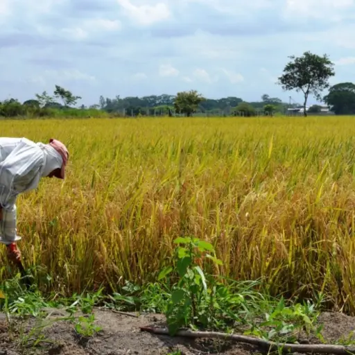 El 35,7 de hogares ecuatorianos recibe menos de un salario básico