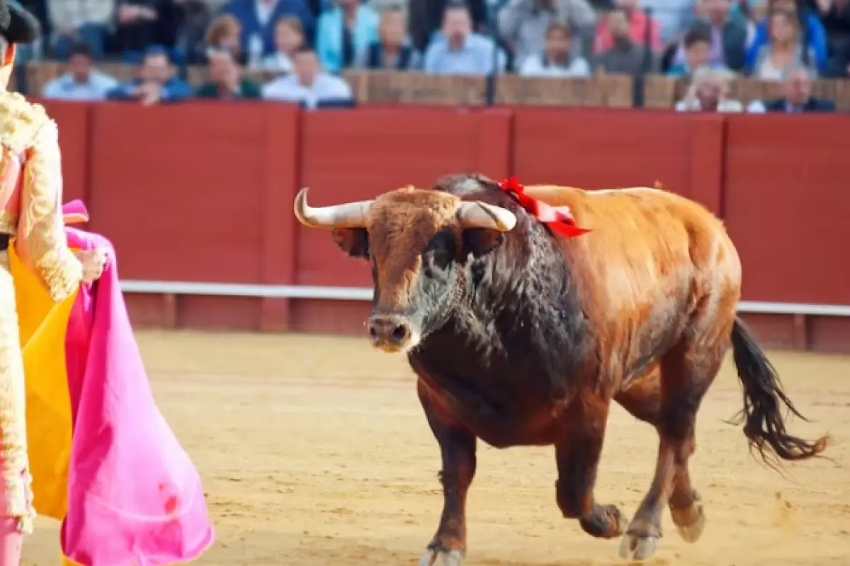 En 2027 entrará en vigor la prohibición de corridas de toros y peleas de gallos en Colombia