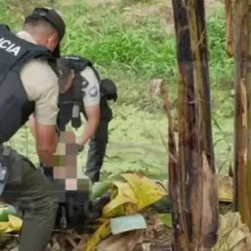 Tatuaje fue clave para identificar a hombre hallado herido de bala en una bananera