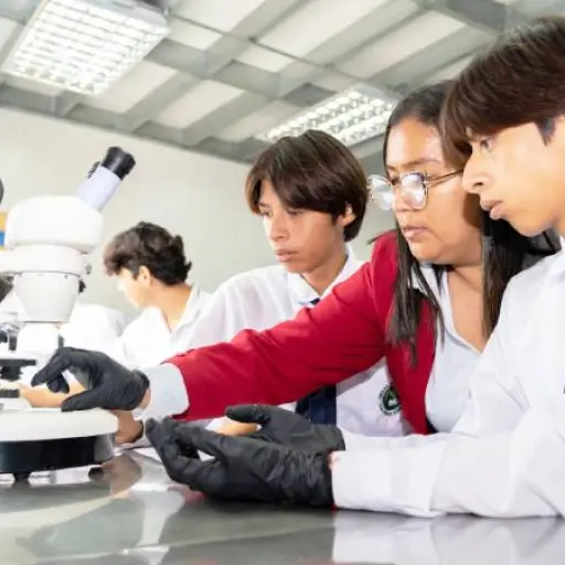 ¿Quieres ser docente de Bachillerato? Estas son las 815 vacantes disponibles en Ecuador