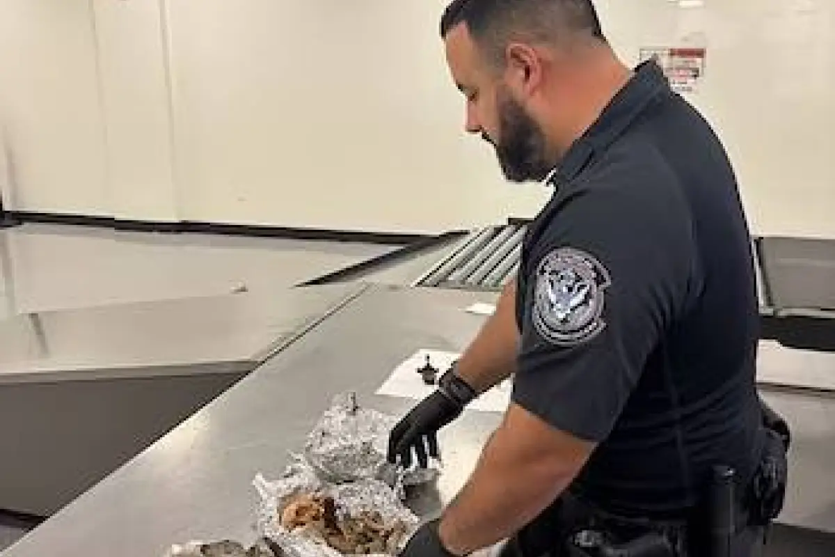 Cráneo humano en papel de aluminio: lo que hallaron en una maleta en el aeropuerto de Tampa