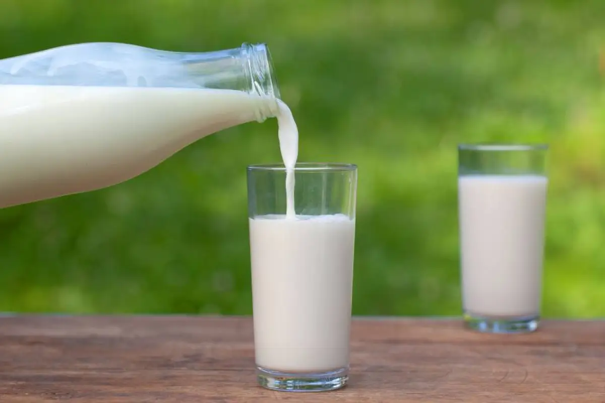 ¿Leche entera o descremada La clave nutricional para cambiar tu dieta diaria