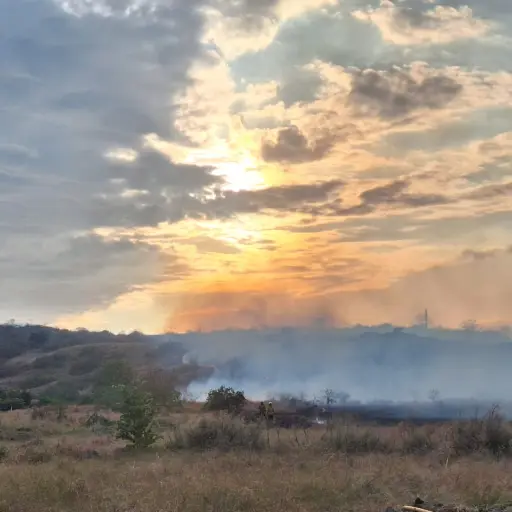 Portoviejo: Alertan de un incendio forestal en la vía a Manta