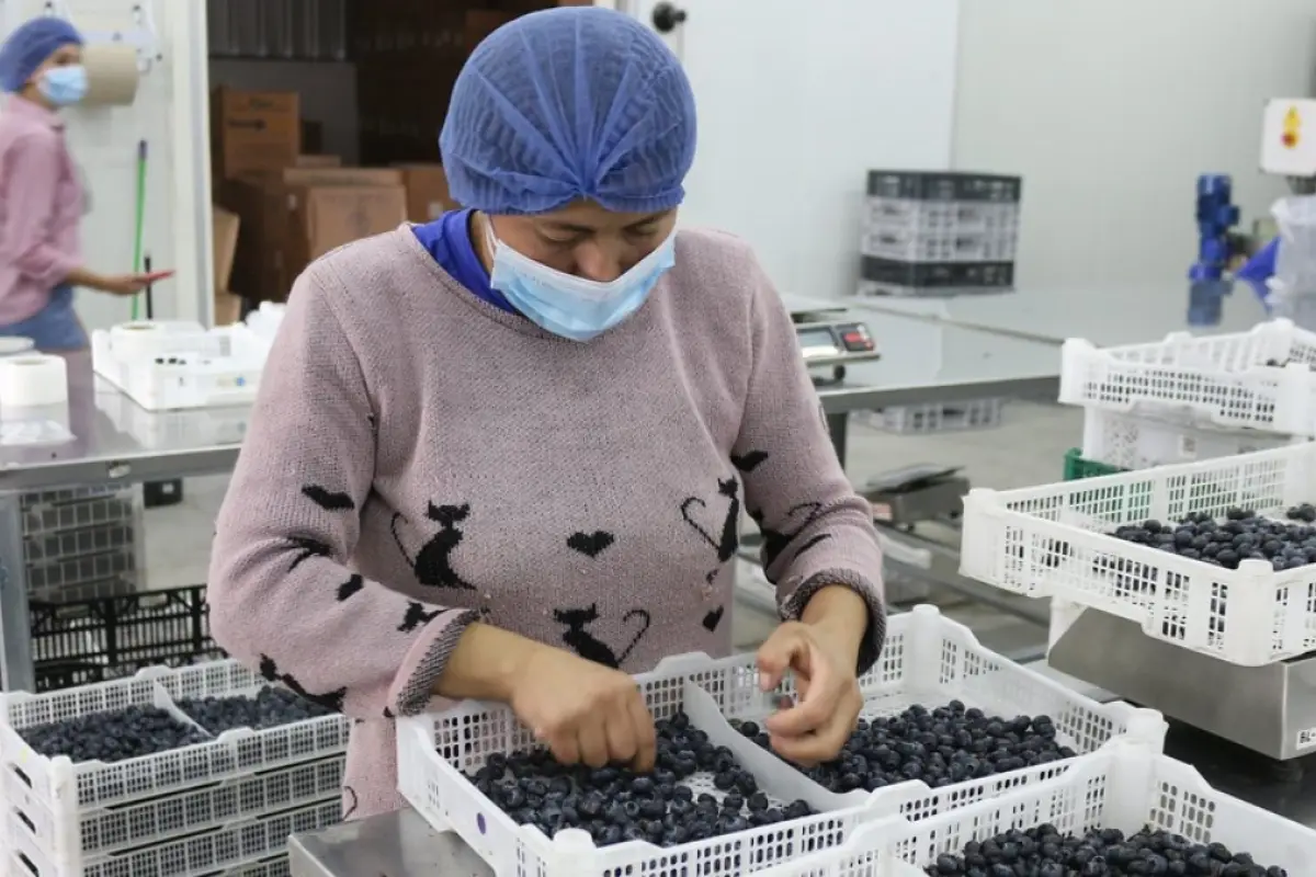 El salario básico en Ecuador incrementó 70 dólares desde el 2020 hasta el 2025, aún no hay acuerdos para el 2026. (Ministerio de Producción)
