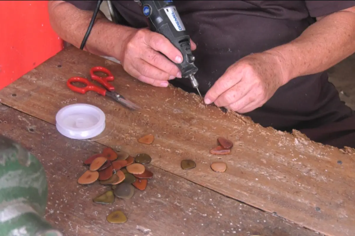 Recolección y selección de tagua en Manabí, una cadena productiva afectada por la prohibición de exportar semillas crudas.