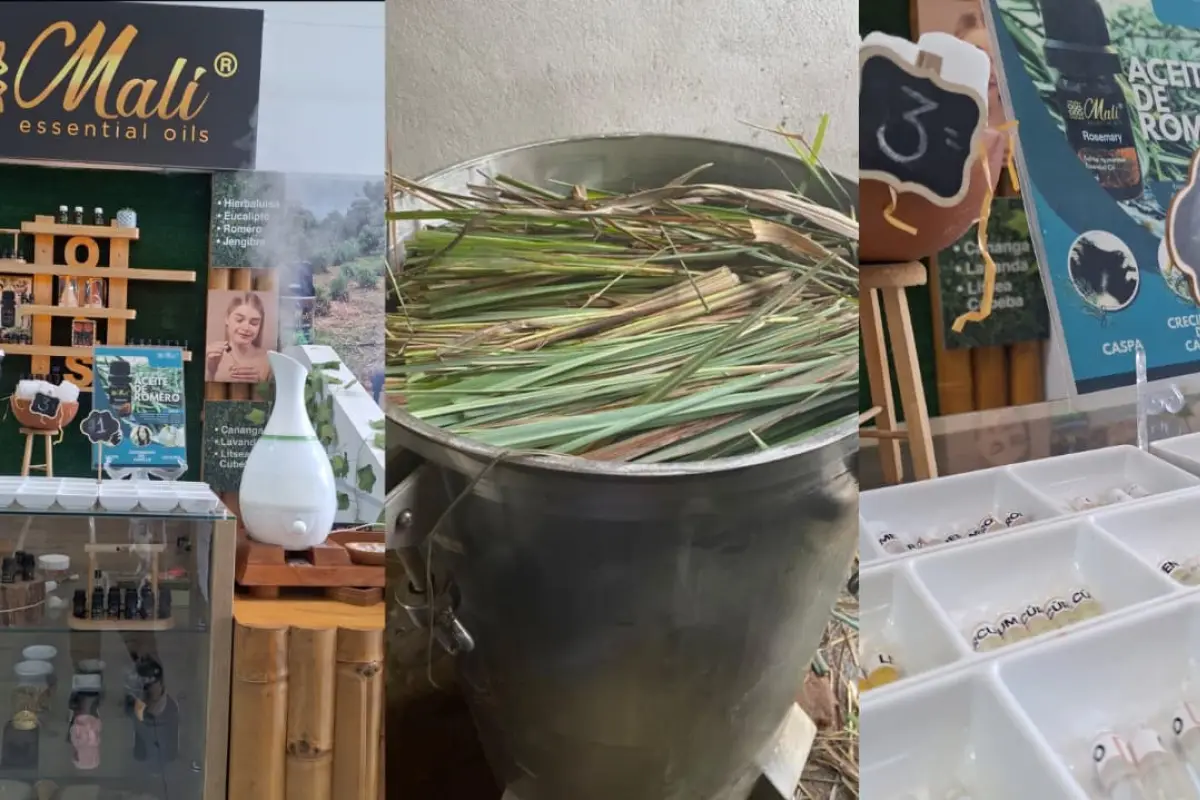Aceites esenciales Malí impulsa producción local desde la Plaza Artesanal Zaracay en Santo Domingo