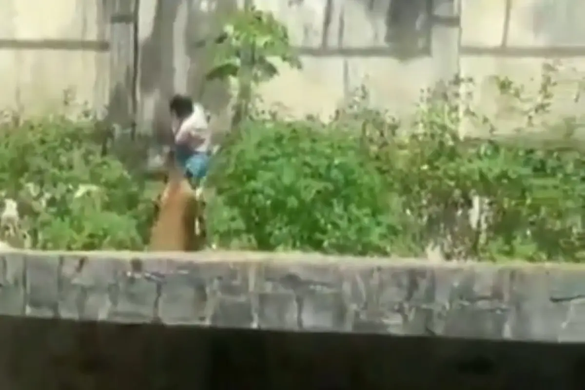 Gerson do Melo Machado, de 19 años de edad, murió tras ingresar sin autorización a la jaula de una leona en el Parque Zoobotánico Arruda Câmara,