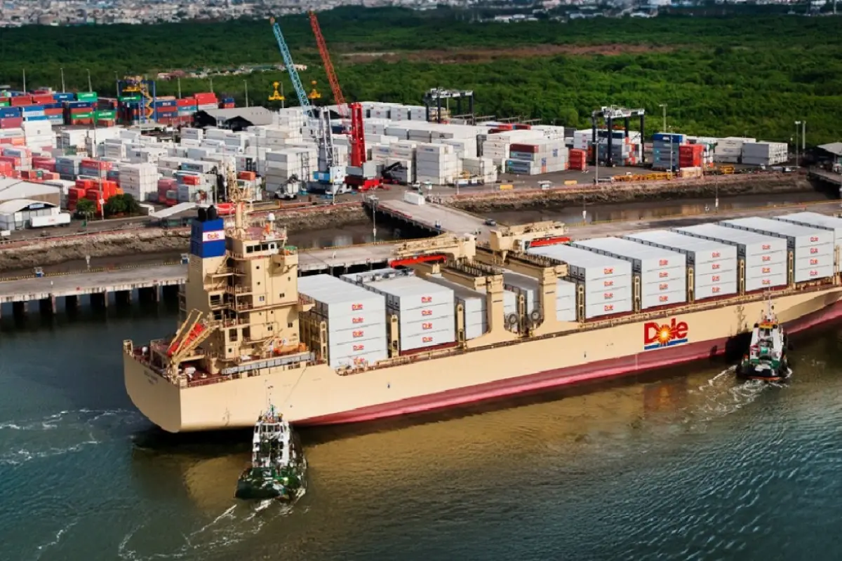 Ranking 2025 Estas son las diez mayores empresas exportadoras que dinamizaron la economía de Ecuador. (Cámara Marítima del Ecuador), 