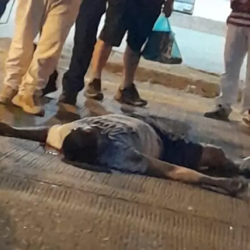 Fallece atropellado y abandonado en avenida Carlos Alberto Aray de Chone