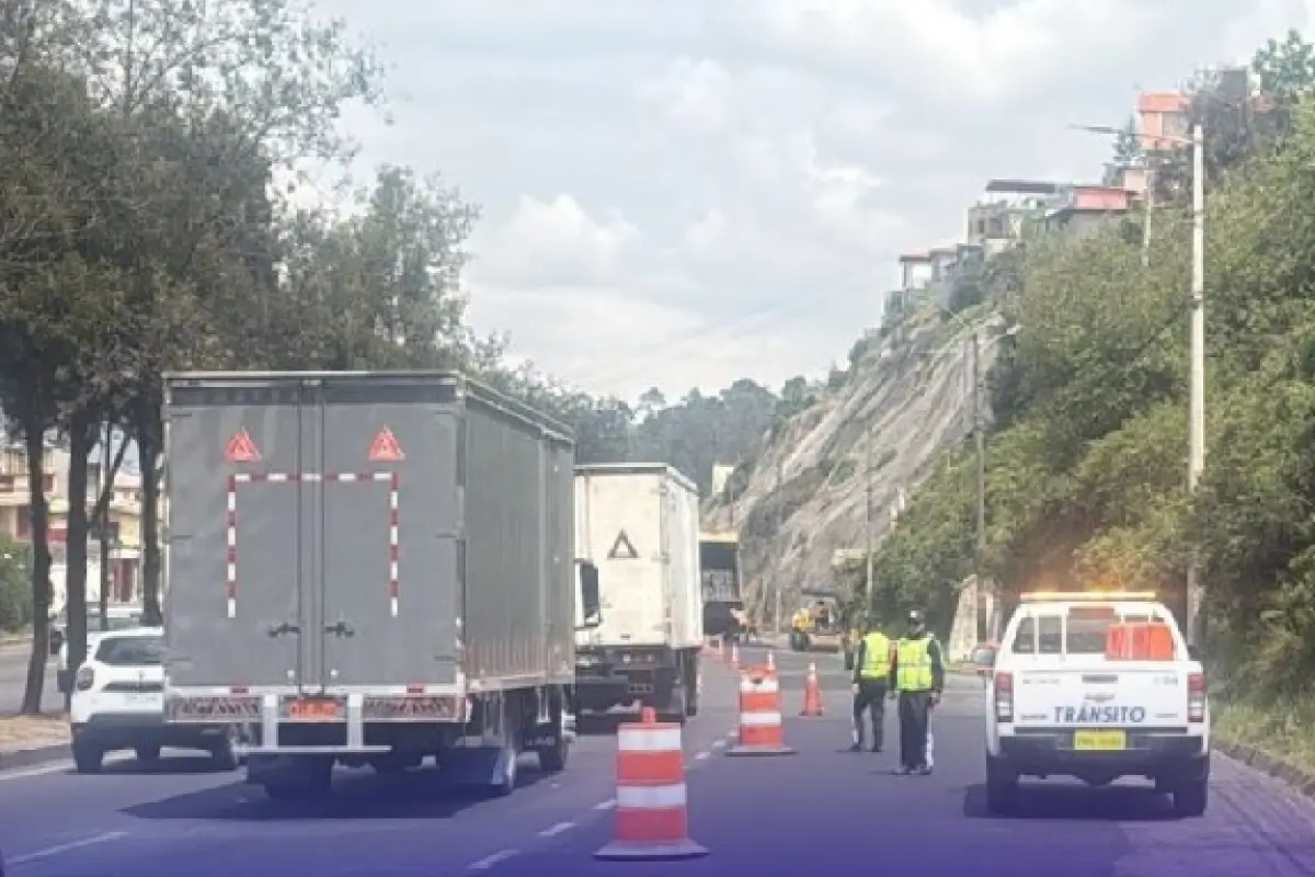 La medida busca facilitar los desplazamientos ciudadanos en la víspera del feriado nacional por Año Nuevo.