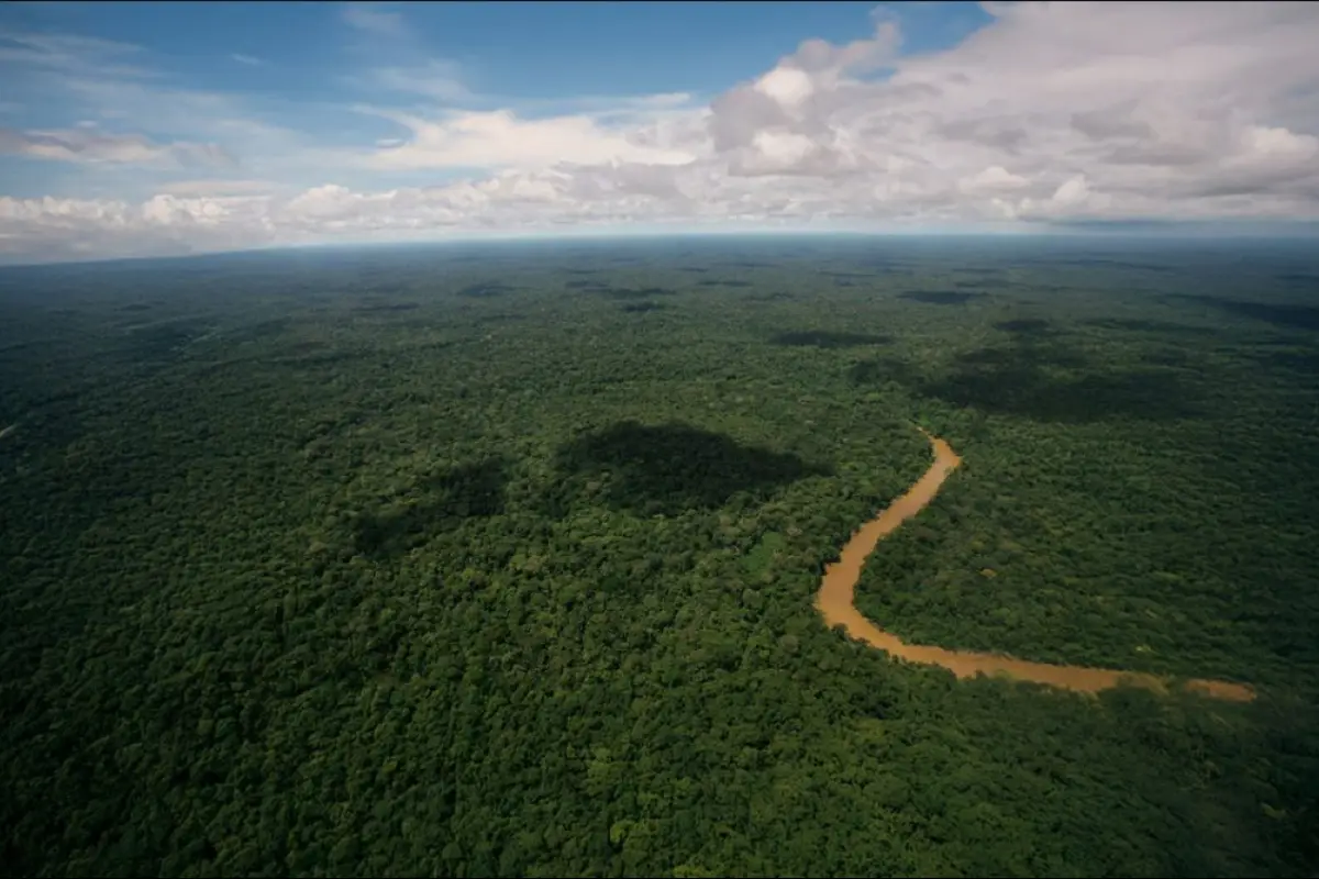 El Fondo del Biocorredor Amazónico fue creado en noviembre de 2024 como entidad sin fines de lucro.