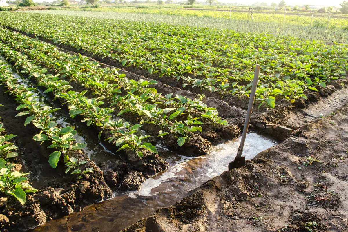 El objetivo es fortalecer la producción y optimizar el uso del agua en la Sierra Centro del Ecuador.