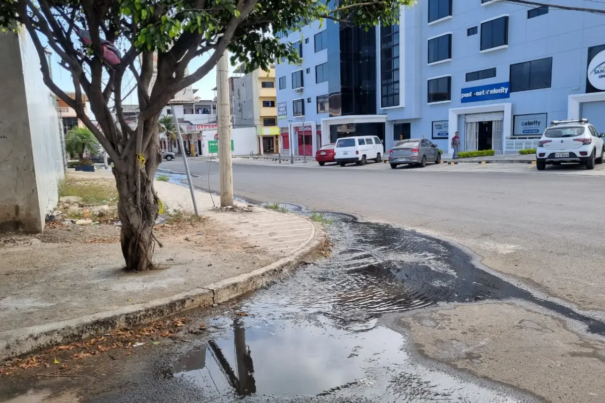 local 1 rebose de agua potable, 