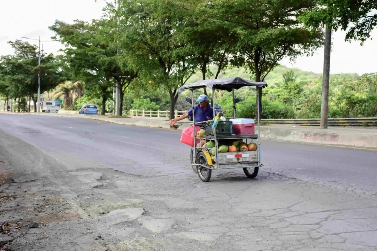 baches