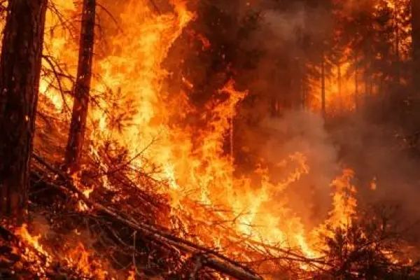 Imagen ilustrativa de un gran incendio forestal