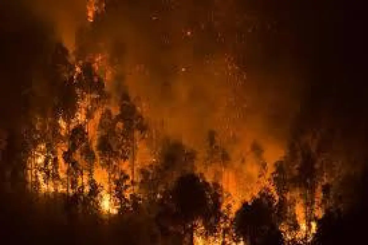 incendio