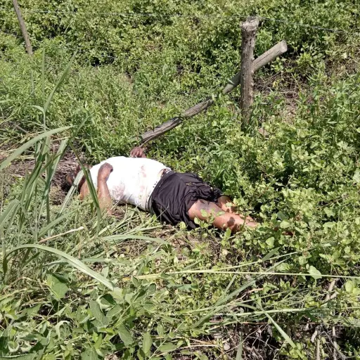 Chone: Hallan cuerpo en descomposición con herida de bala en vía a Simbocal
