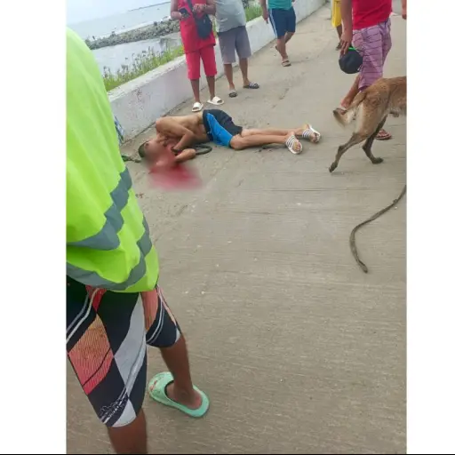 Asesinan a hombre en el malecón de San Vicente durante el feriado de Carnaval