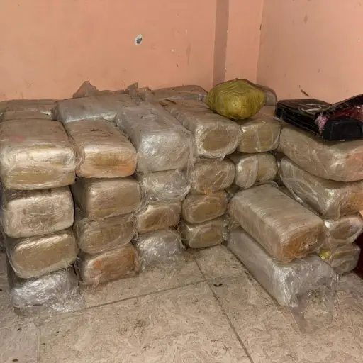 Guayas: Intervención militar contra un grupo de delincuencia organizada en Samborondón