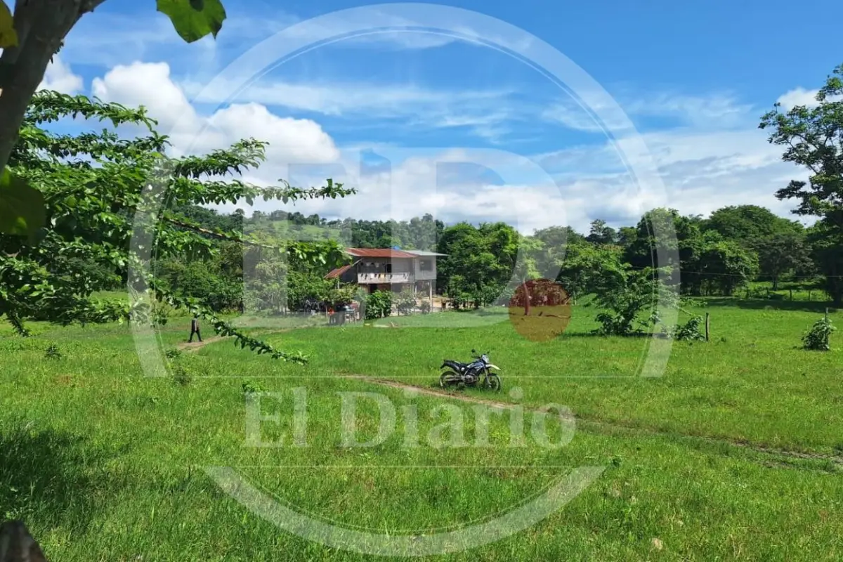 Esta es la vivienda donde se ejecutó el ataque armado que dejó seis víctimas., El Diario